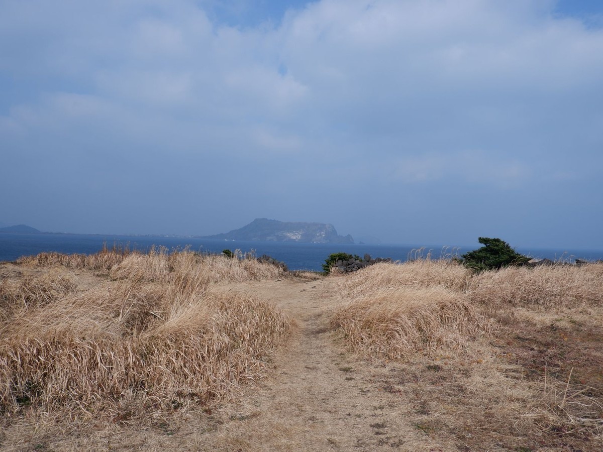제주 한라산 관음사 탐방로 삼각봉~백록담 구간 통제 안내 (2026년 8~9월) 관련 실제 제주 사진